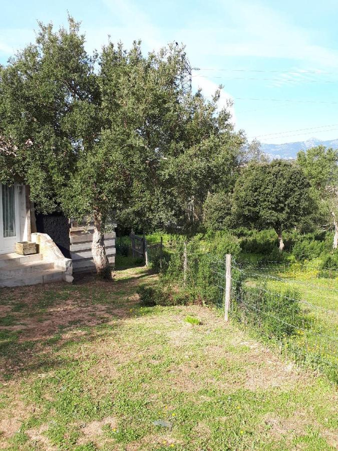 Casa Gattu Villa Porto-Vecchio  Exterior foto