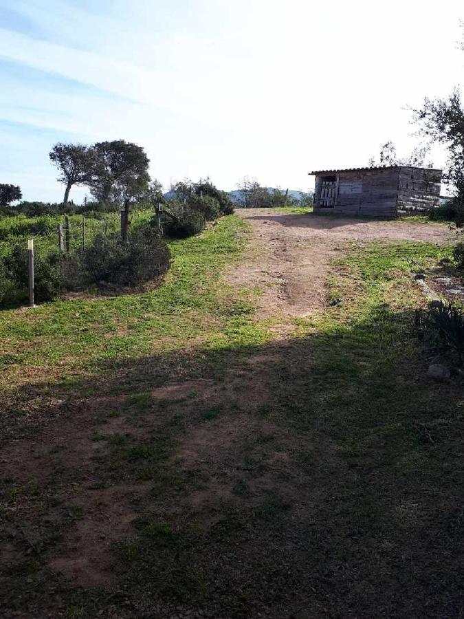 Casa Gattu Villa Porto-Vecchio  Exterior foto