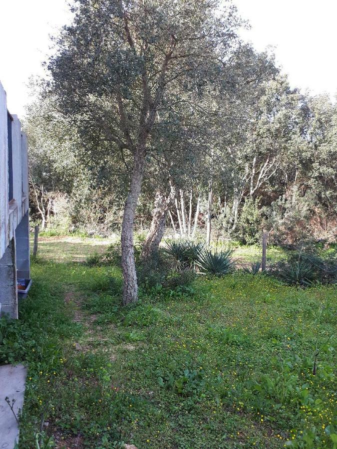 Casa Gattu Villa Porto-Vecchio  Exterior foto