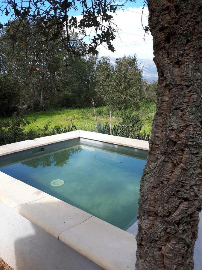 Casa Gattu Villa Porto-Vecchio  Exterior foto